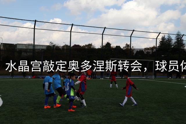 水晶宫敲定奥多涅斯转会，球员体检成关键